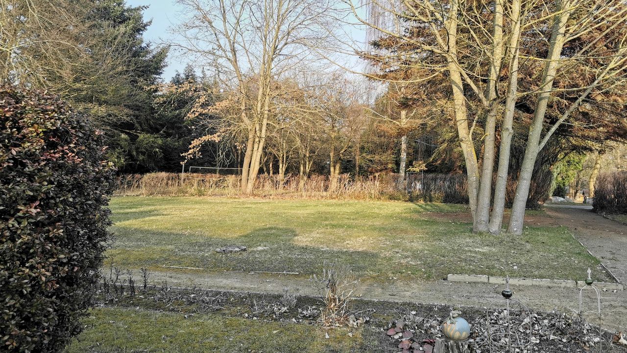 GardenSummer GardenSummer